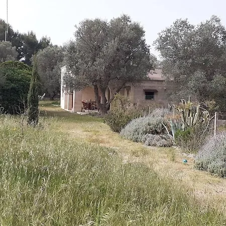 3 Bedroom Country With 2 Large Verandas * Torre Ovo